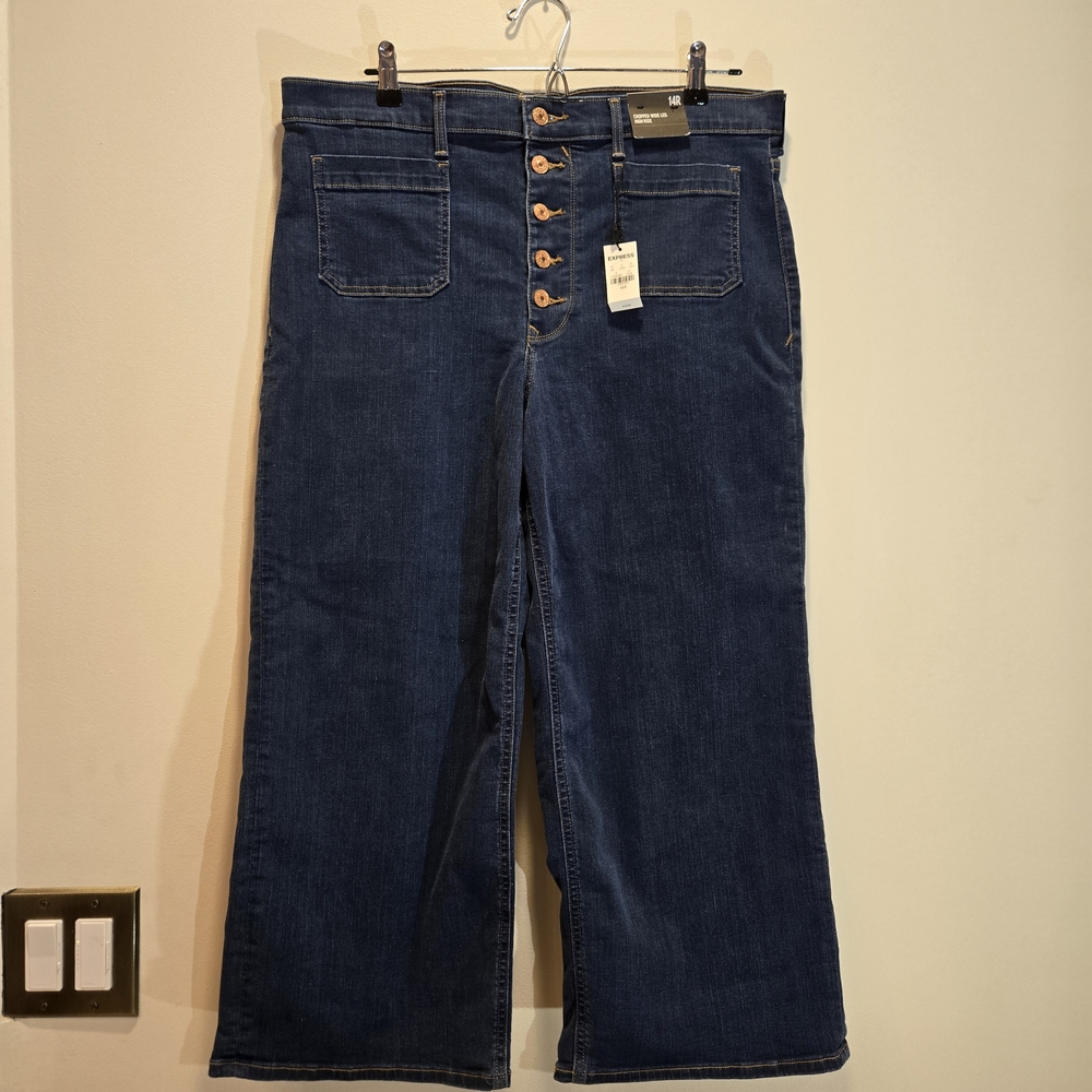 Express Deep Blue Flare Jeans